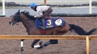 【高松宮記念】エーティーマクフィが１ハロン１１秒０と強烈な伸び　武英調教師「状態は過去最高と言えます」