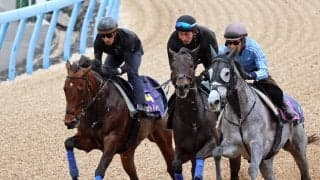 【高松宮記念】新コンビのルメール騎手で連覇狙うサトノレーヴは余裕たっぷりに併入　陣営「先週で仕上がっている」