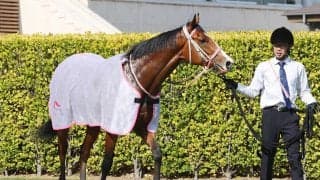 【注目馬動向】２戦２勝のロデオドライブはニュージーランドＴへ　社台グループオーナーズが発表