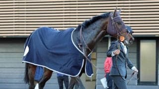 【チャーチルダウンズＣ・１週前】リゾートアイランドが抜群の動きで先着　上原佑紀調教師「明らかに状態はいい」