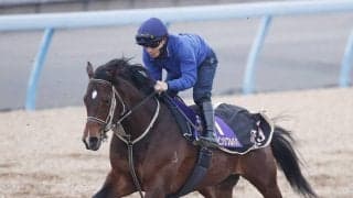 【高松宮記念】インビンシブルパパが逃げ宣言！　納得の調教に伊藤大調教師「この馬のベストはハナに行く形」