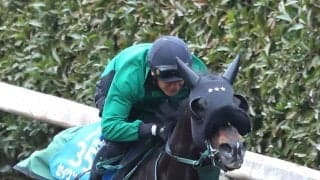 【大阪杯・１週前】反撃へセイウンハーデスが意欲的な追い切り　橋口調教師「ポテンシャルはあるので、力を出し切ってくれれば」