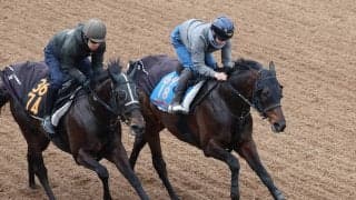 【日経賞】横山武史騎手を背にコスモキュランダが上々の動き　加藤士調教師「自信を持って出走させられます」