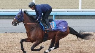 【日経賞】「ずいぶんいい」ローシャムパークはあえて単走で追い切り　田中博康調教師「しっかり仕上がってきている」