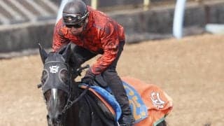 【日経賞】オープン入りしたばかりのアスクナイスショーが一発ムード　中舘調教師「ここにきて良くなって」