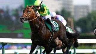 【高松宮記念予想】荒れるか堅いか AIが示した結論と本命馬の根拠とは