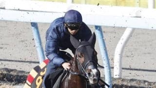 「ケンカをしないように（笑）」皐月賞出走の上原佑厩舎３頭が豪華併せ馬　「切磋琢磨（せっさたくま）していければ」