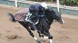 【毎日杯】シンザン記念３着から状態アップ！アルトラムスが坂路で自己ベスト更新　野中調教師「余裕残しでいい状態」