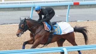 【マーチＳ】チュウワクリスエスは単走で上々の伸び　栗田調教師「去年からグイグイと良くなった」