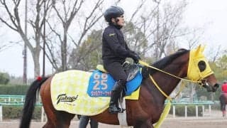 【マーチＳ】一昨年の覇者ヴァルツァーシャルは力強い動き披露　高木調教師「いい状態をキープできている」