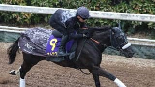【高松宮記念】ナムラクレアの長谷川調教師「何とか最後にいい結果を迎えたい」ラストランでＧ１初Ｖ決める準備整った