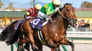 【高松宮記念展望】今年も海外遠征帰りのサトノレーヴが中心