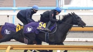 【大阪杯】クロワデュノールの斉藤崇調教師「動き十分」　北村友一騎手とコンビ継続
