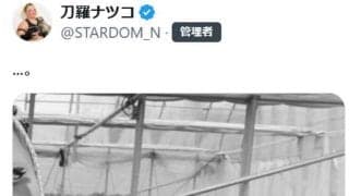 【スターダム】刀羅ナツコのイチゴ狩り？写真にファン「悪ぶっていても可愛さだけは隠せない」