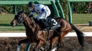 【マーチS展望】昇級馬チュウワクリスエスが勢いそのままに重賞制覇を狙う