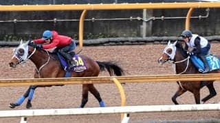 【大阪杯・１週前】メイショウタバルはＣＷコースで力強い伸び　石橋調教師「有馬記念の時より首の使い方が良かった」