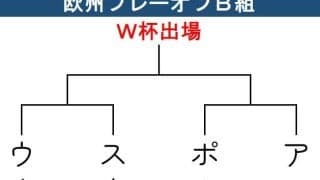 【Ｗ杯予選】欧州PO･B組　本大会日本と同組　ポーランド－アルバニア　スウェーデン－ウクライナ