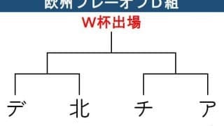 【Ｗ杯予選】欧州PO･D組　本命デンマーク、北マケドニアとは実力差　チェコ－アイルランド