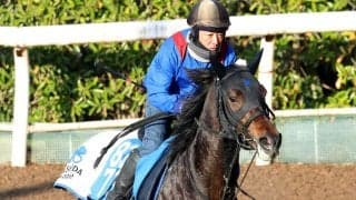 【注目馬動向】母アパパネのアマキヒは大阪-ハンブルクＣ目指す　先週重賞スピード制覇の橋田厩舎への転厩初戦