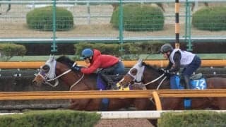 メイショウタバル、大阪杯1週前追い切り速報/栗東トレセンニュース