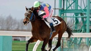 門別競馬場で今年5回目の競走能力・発走調教検査 シフトチェンジが最速タイムを記録