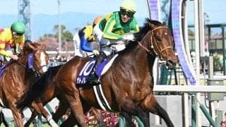 【高松宮記念・調教後馬体重】サトノレーヴは530kg、ナムラクレアは490kg