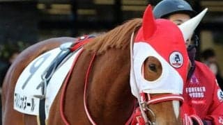 名牝マルシュロレーヌの初仔 マルシュボヌールが初勝利なるか