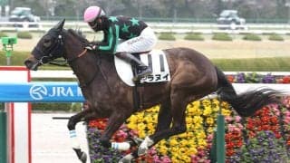 【注目馬動向】２２日に１勝クラス勝利のシラヌイは葵Ｓへ　昨年１１月のファンタジーＳ以来の重賞挑戦