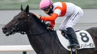 【伏竜S】無傷2連勝中のダノンバーボン 3連勝でオープンVなるか