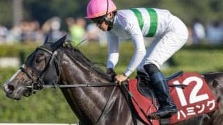 【四国新聞杯】半兄は菊花賞馬のキセキ ハミングが復帰戦で復活Vなるか