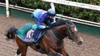 【高松宮記念】サウジ遠征帰厩後３度追い切り“１０日仕上げ”のパンジャタワーは「力を出せる状態」