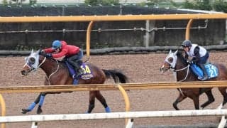 【大阪杯】３戦３勝の阪神で復権へ　メイショウタバルが１週前追い切り６ハロン８０秒５-１１秒４