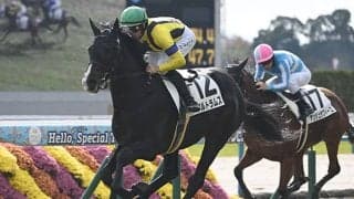 【毎日杯枠順確定】アルトラムスは4枠4番、カフジエメンタールは2枠2番