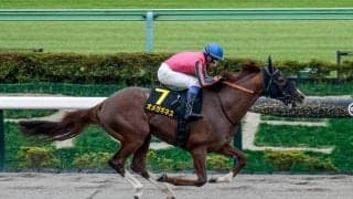 【マーチS枠順確定】オメガギネスは5枠9番、サンデーファンデーは8枠15番