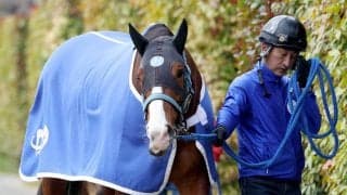 【高松宮記念】「３度目の正直」狙うママコチャは５枠１０番　陣営「見た感じのシルエットがいいですね」