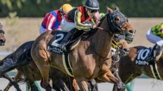 兄姉2頭は海外G1勝ち馬 ディーンズリスターが約4年ぶりの2勝目なるか