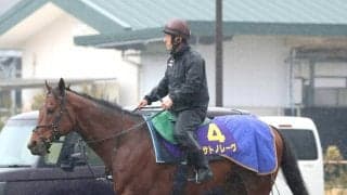 【高松宮記念】昨年同様金曜輸送のサトノレーヴは決戦の地に到着　５枠９番に堀調教師「最大限のパフォーマンスを出せるように」