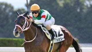 【注目馬動向】姉はＧ１ホースのレシステンシア　良血馬バルセシートはチャーチルダウンズＣへ参戦