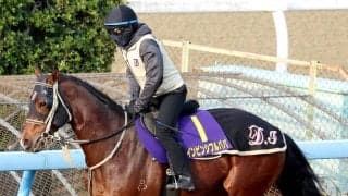 【高松宮記念】「武さんがどういう風に出るか...」と伊藤大調教師　インビンシブルパパは外目の７枠１５番