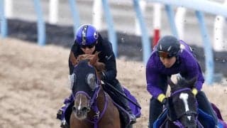 【高松宮記念】史上初９歳での平地Ｇ１制覇狙うウインカーネリアンは４枠８番　鹿戸調教師「ちょうど良かったんじゃないか」