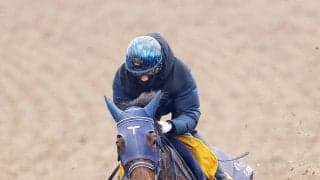 【注目馬動向】中山金杯４着のカネラフィーナは引き続き石川裕紀人騎手で福島牝馬Ｓへ　シルク・ホースクラブが発表