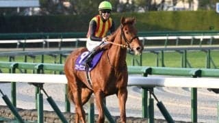 【桜花賞想定馬・騎手】スターアニス、フェスティバルヒルなど18頭