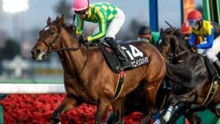 【日経賞予想】長距離戦は馬体重が好走の鍵!? 大型馬が苦戦する最たる要因