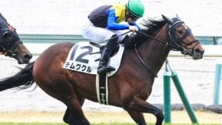 【仲春特別】半弟はダイヤモンドノット チムグクルが連闘で連勝なるか