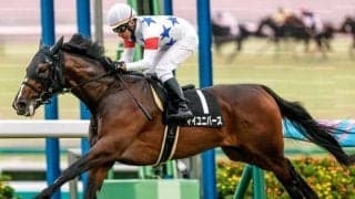 【日経賞予想】トリッキーな中山芝2500mだが実績重視で