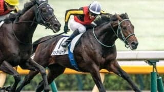 【毎日杯予想】皐月賞を占う最終便 総合力…たしかな末脚が勝負をわける