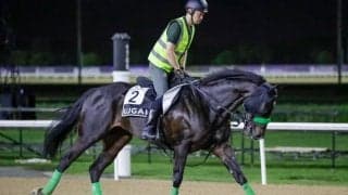 【アルクオーツスプリント】ルガルが世界の快速王へ挑戦…メイダン芝1200mでG1獲りへ