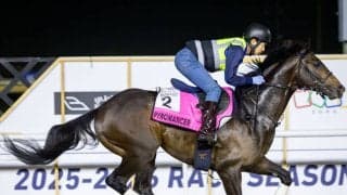 【UAEダービー】パイロマンサー＆ワンダーディーンがドバイ決戦へ！ケンタッキーダービーへの登竜門に挑む