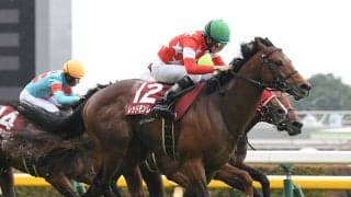 【競馬予想】高松宮記念で好成績を残している血統は？　今年最初の芝のＧⅠは人気薄の２頭に好走の気配