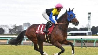 中山芝は時計がかかり気味 日経賞の穴は道悪巧者のチャックネイトだ